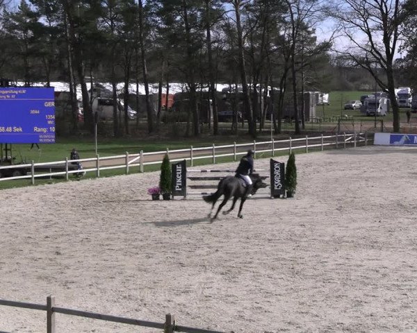 Reitturnier Westergellersen 2023