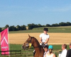 dressage horse Avinjo (Oldenburg, 2002, from Askar AA)