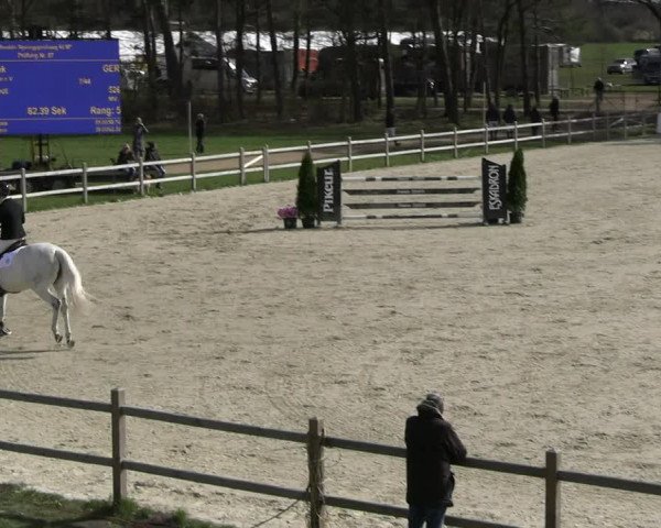 Reitturnier Westergellersen 2023