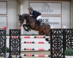 jumper Cayetana (Oldenburg show jumper, 2015, from Casallco)