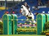 jumper Fts Killossery Konfusion (Irish Sport Horse, 2010, from Livello)