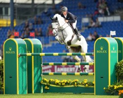 Springpferd Fts Killossery Konfusion (Irish Sport Horse, 2010, von Livello)