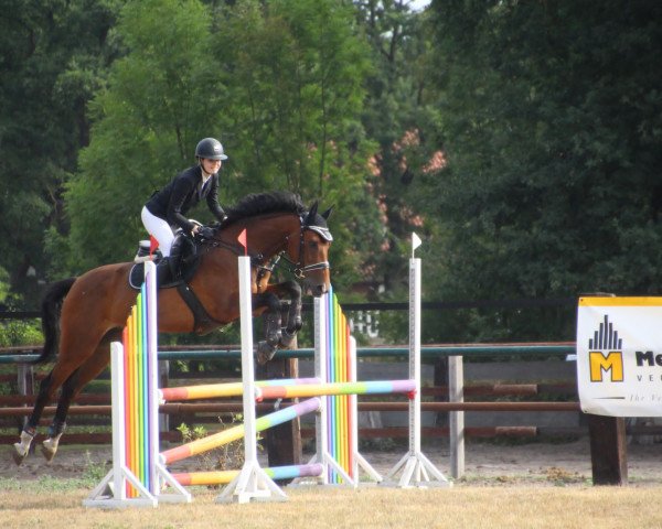 jumper Quorio Classico As (Holsteiner, 2012, from Quick Orion d'Elle 189 FIN)