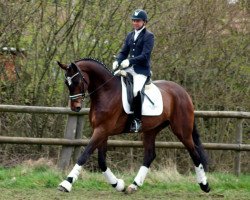 dressage horse Quel Chance (Hanoverian, 2012, from Quaterhall)