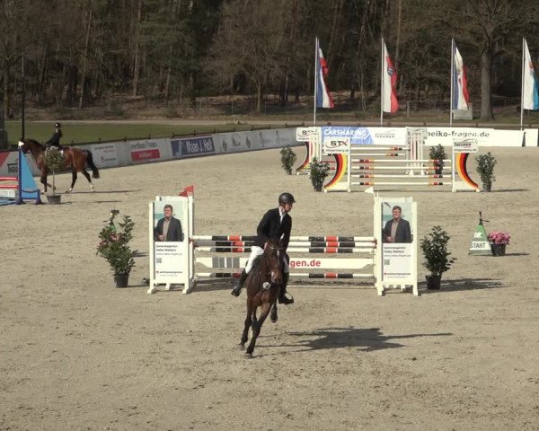 Reitturnier Westergellersen 2023