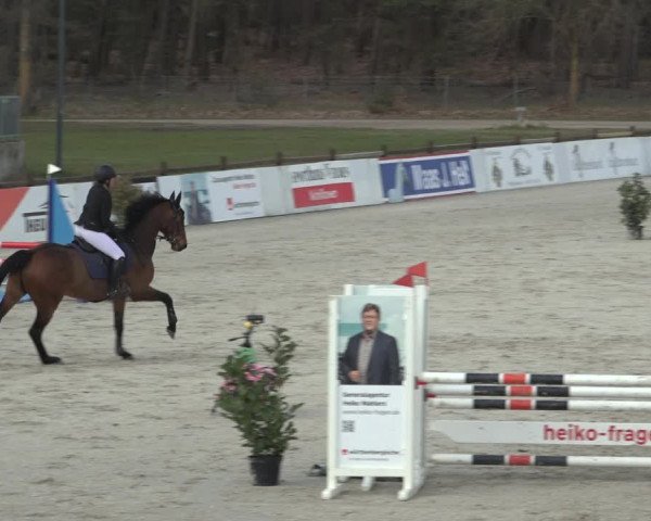 Reitturnier Westergellersen 2023