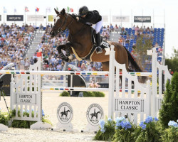 Zuchtstute Labelle vd Middelstede (Belgisches Warmblut, 2011, von Emerald van 't Ruytershof)