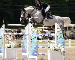 Springpferd Mystic Lindenhof (Belgisches Warmblut, 2012, von Berlin)