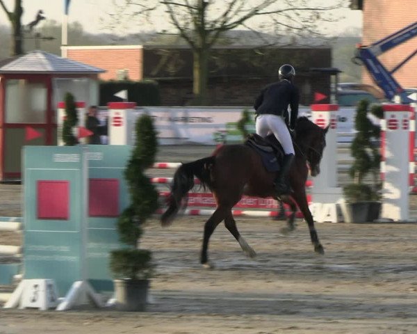 Reitturnier Werne-Lenklar 2023