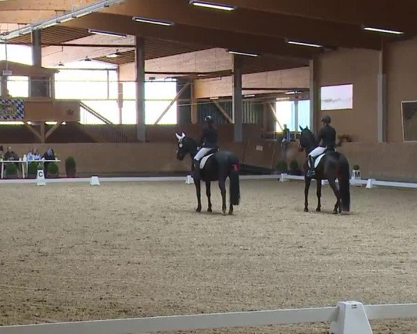 Reitturnier Grafenrheinfeld/Ufr. 2023