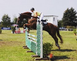 jumper Louis Le Grand 4 (Oldenburg, 2002, from Le Primeur)