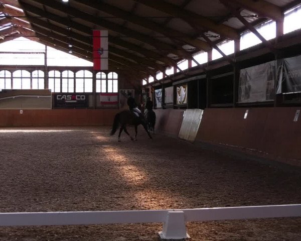 Reitturnier Elisenau 2023