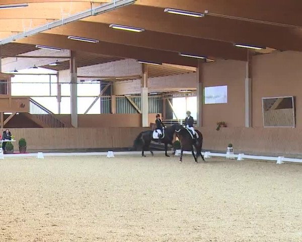 Reitturnier Grafenrheinfeld/Ufr. 2023