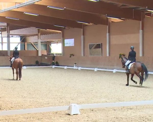 Reitturnier Grafenrheinfeld/Ufr. 2023