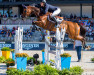 jumper Exit of Ice Z (Zangersheide riding horse, 2008, from Emilion)