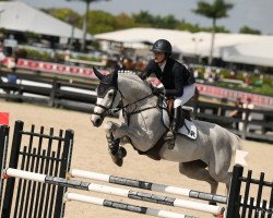 jumper Superwoman Dk Z (Zangersheide riding horse, 2012, from Sisley de La Tour Vidal)