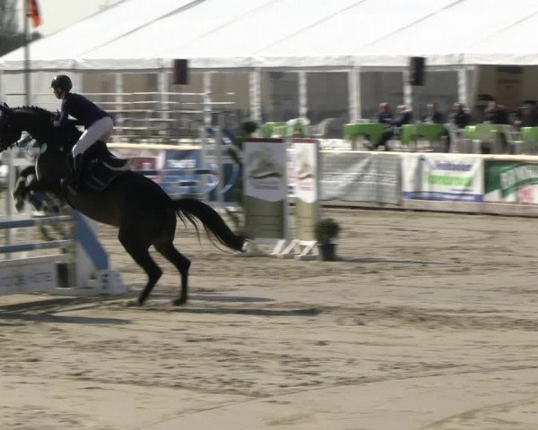 Reitturnier Werne-Lenklar 2023