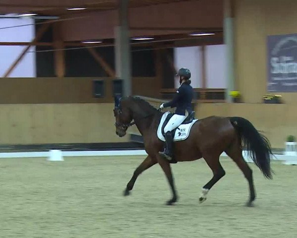 Reitturnier Grafenrheinfeld/Ufr. 2021