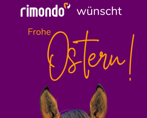 Springpferd Frohe Ostern 3 (Rheinländer, 2011, von For Complete)