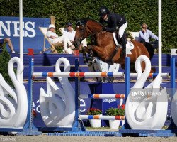 jumper Miami van de Moortelshoeve (Belgian Warmblood, 2012, from Emerald van 't Ruytershof)