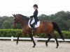 dressage horse Highlight 156 (Bavarian, 2008, from Hotline)