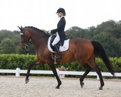 dressage horse Highlight 156 (Bavarian, 2008, from Hotline)