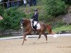 dressage horse Alposa's Mister Murphy (German Riding Pony, 2010, from FS Mr. Mobility)