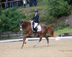 Dressurpferd Alposa's Mister Murphy (Deutsches Reitpony, 2010, von FS Mr. Mobility)