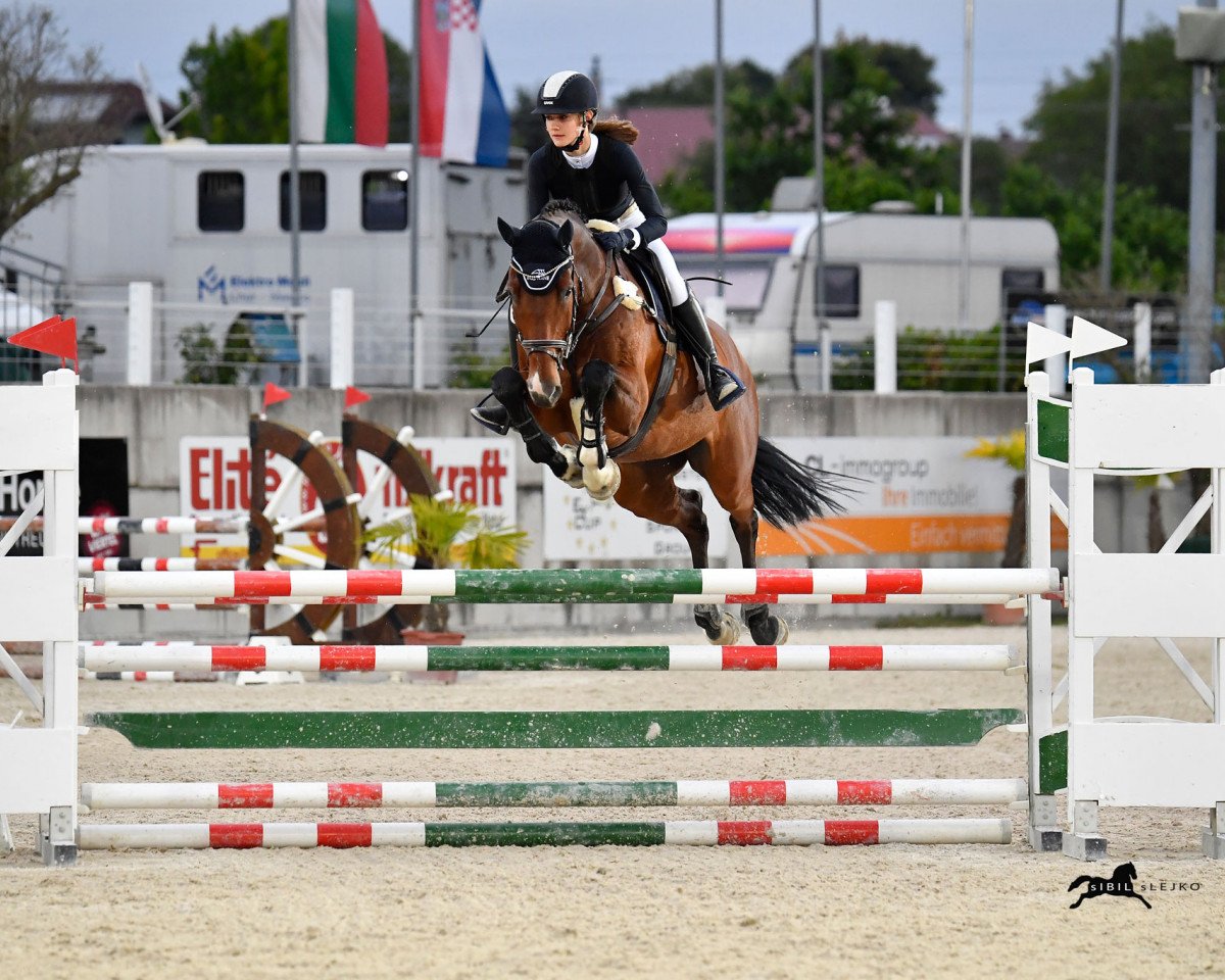 jumper IWEST Quentin (Holsteiner, 2013, from Quiran)