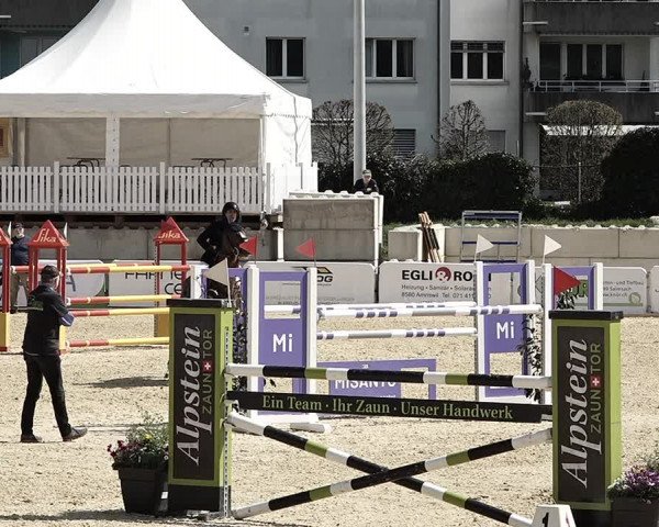 Reitturnier Amriswil 2023