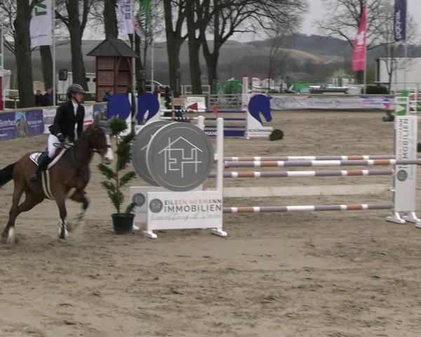 Reitturnier Werne-Lenklar 2023