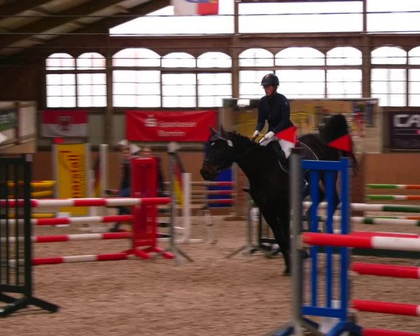 Reitturnier Elisenau 2023
