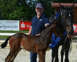 broodmare Camilla (Oldenburg, 2010, from Fidertanz)