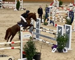 jumper Nashville's Ronja WH (German Riding Pony, 2012, from Nashville WH)