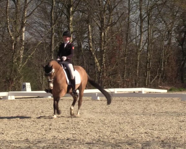Reitturnier Elmlohe 2023