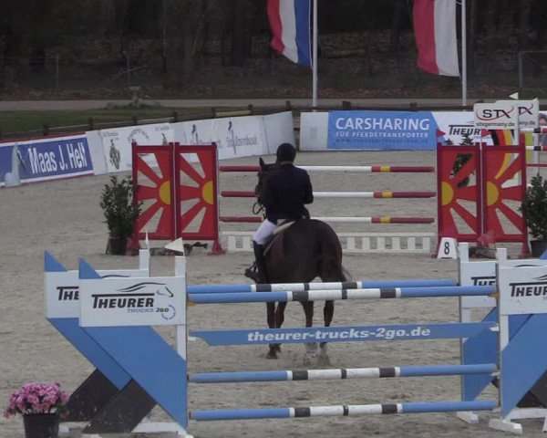 Reitturnier Westergellersen 2023