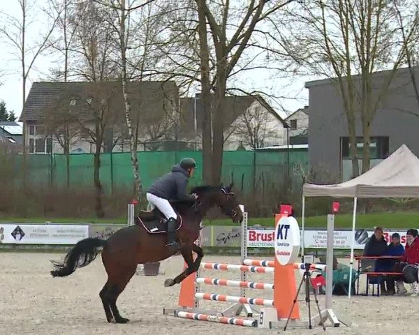 Reitturnier Grafenrheinfeld/Ufr. 2023