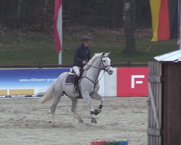 Reitturnier Westergellersen 2023