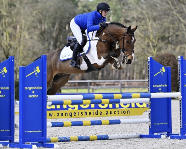 jumper Mariano Sitte (Belgium Sporthorse, 2018, from Fidelgo du Houssoit)