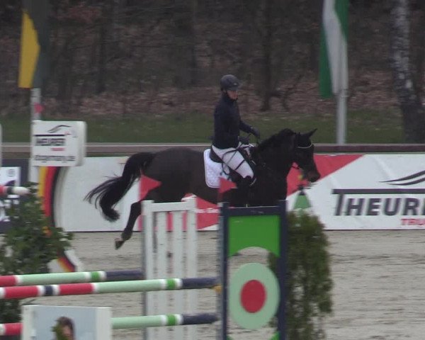 Reitturnier Westergellersen 2023