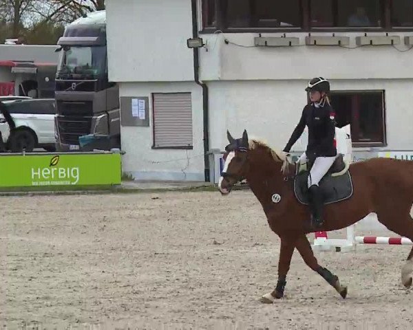 Reitturnier Grafenrheinfeld/Ufr. 2023