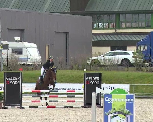 Reitturnier Grafenrheinfeld/Ufr. 2023