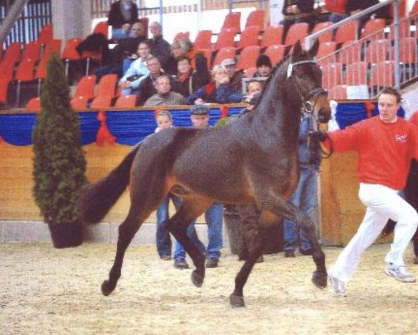 stallion Stationar (Bavarian, 2006, from Stalypso)
