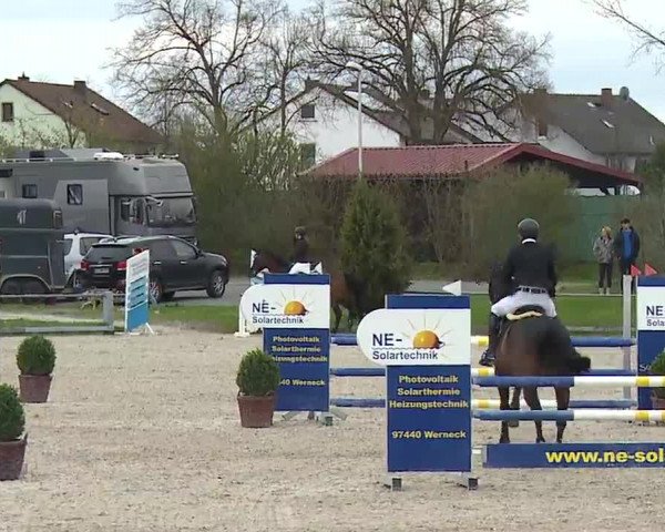 Reitturnier Grafenrheinfeld/Ufr. 2023