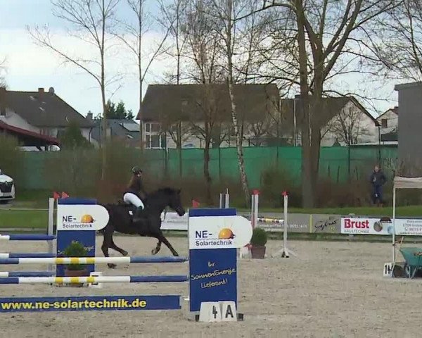 Reitturnier Grafenrheinfeld/Ufr. 2023