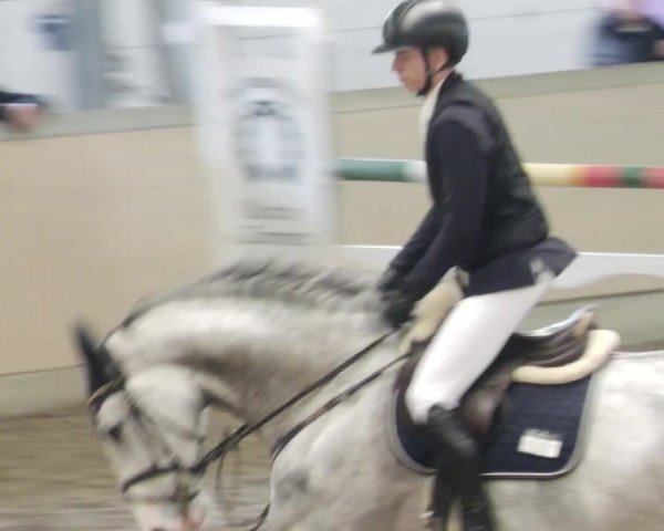 Reitturnier Waghäusel-Wiesental 2023