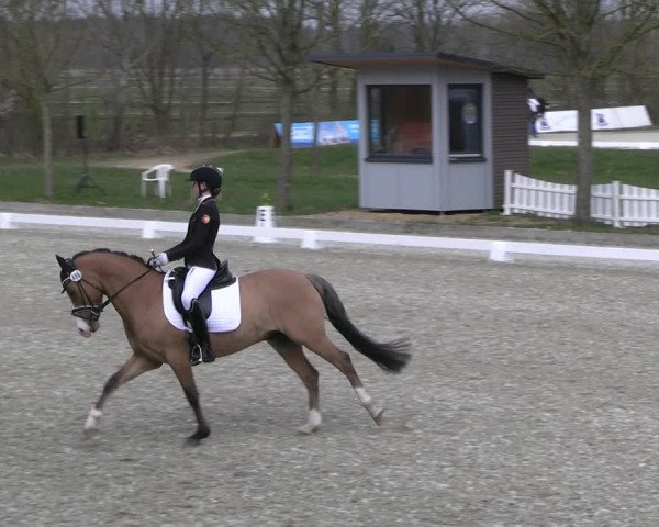 Reitturnier Elmlohe 2023