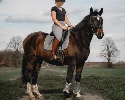 dressage horse De Lui (Westfale, 2000, from Dimension)