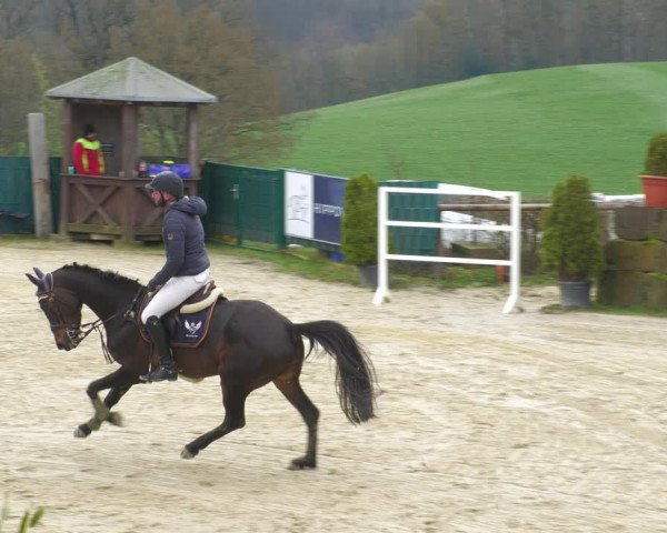 Reitturnier Lindlar-Süttenbach 2023