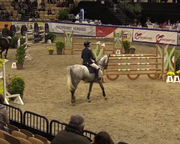 FEI Reitturnier Neumünster (GER) 2021